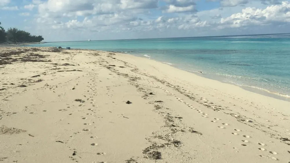 BIMINI LOFTS Across from Big Game club - 1 of 2 furnished apartments