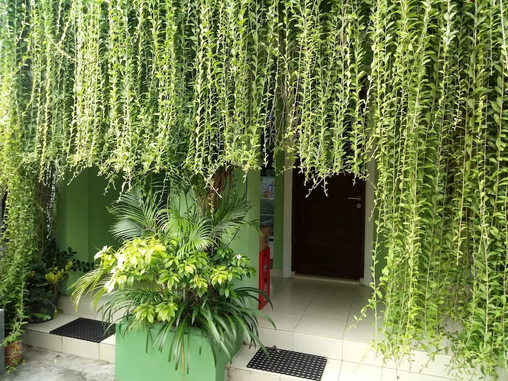 PURNAMA HOUSE KUTA