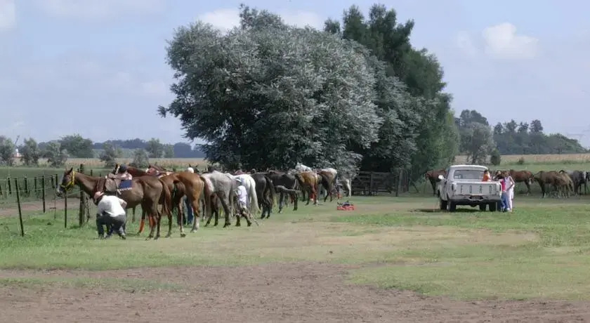 El Paraíso Polo y Naturaleza