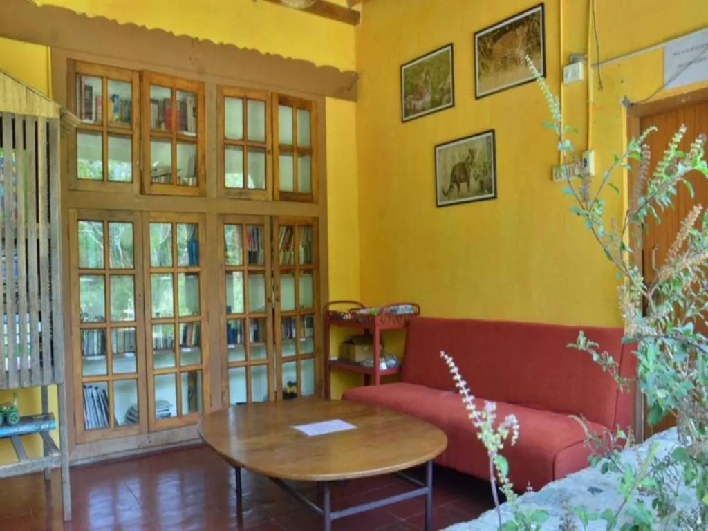 Jungle Hut Resort