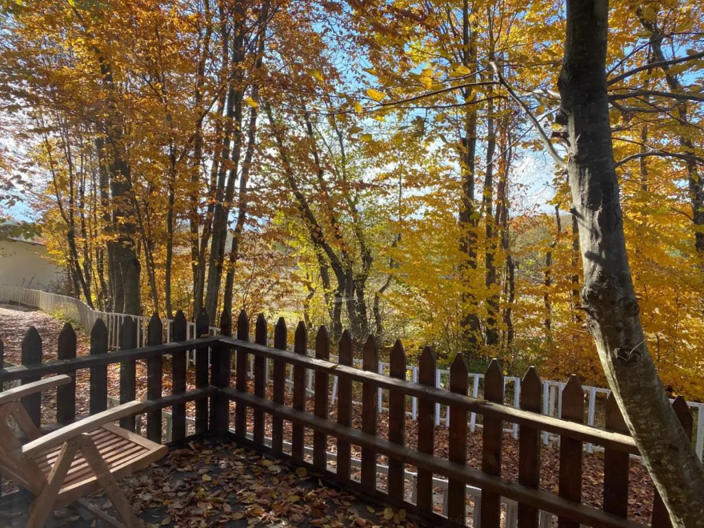 Yaban Yasam Chalets