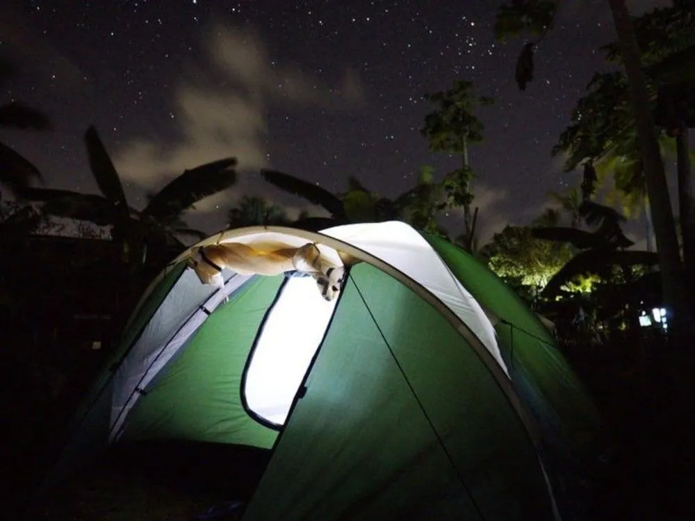 Macao Beach Hostel