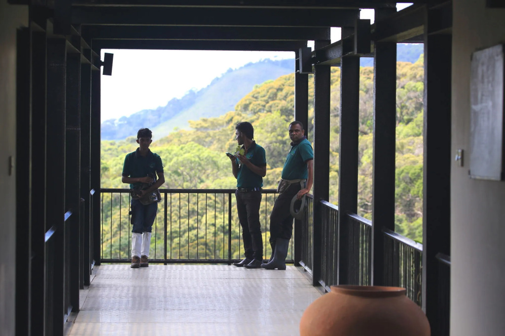 The Rainforest Ecolodge - Sinharaja with Shuttle Service from Car Park