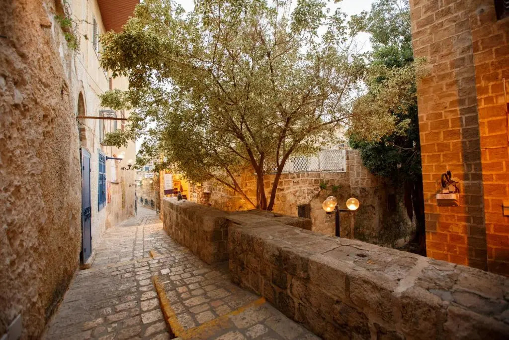Jaffa Experience Home
