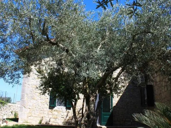 Appartamento Le Tre Palme
