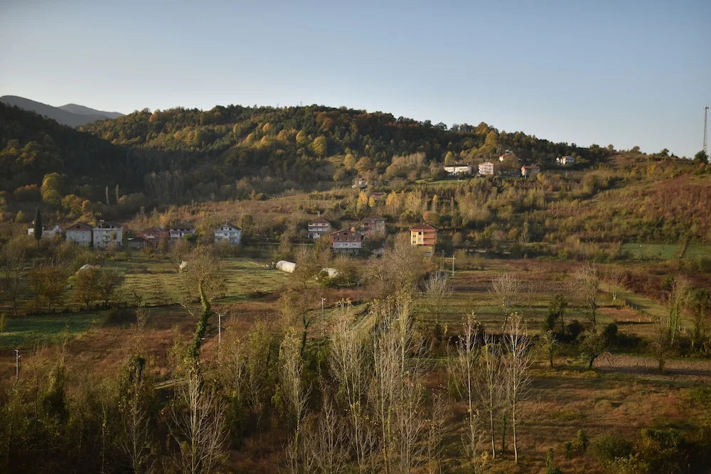 Ereza Otel