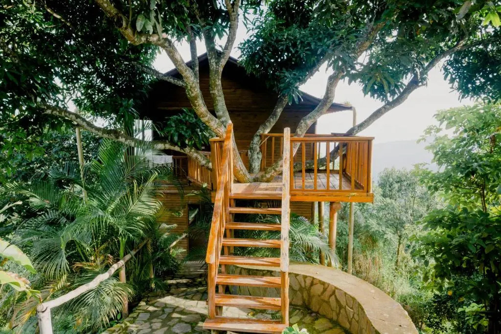 Hostal Sierra Minca