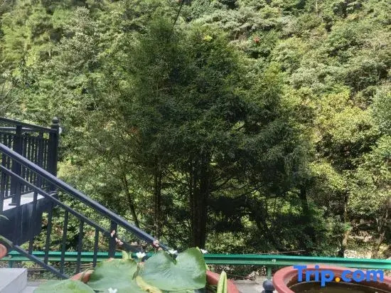 Tingxi Xiaozhu Homestay