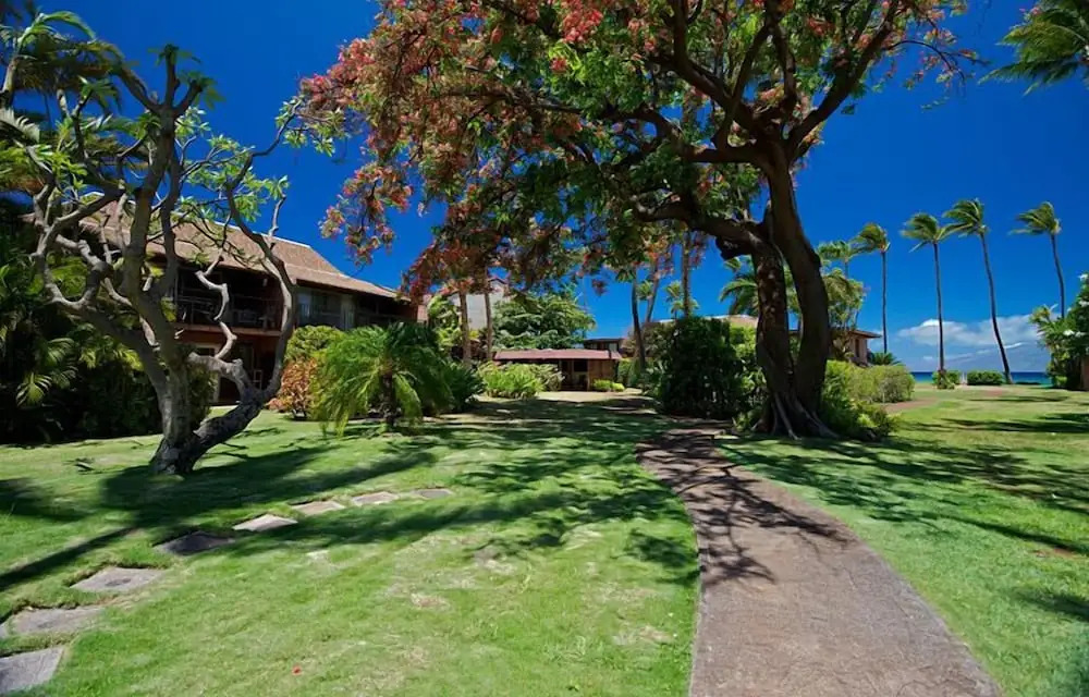 Maui Sands 6E by RedAwning