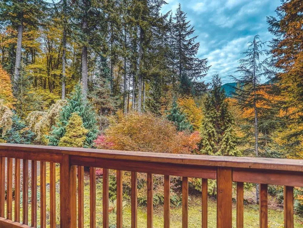 Forest View Lodge