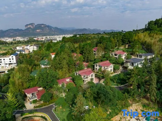 Wuyishan Rongjingshu Hotel