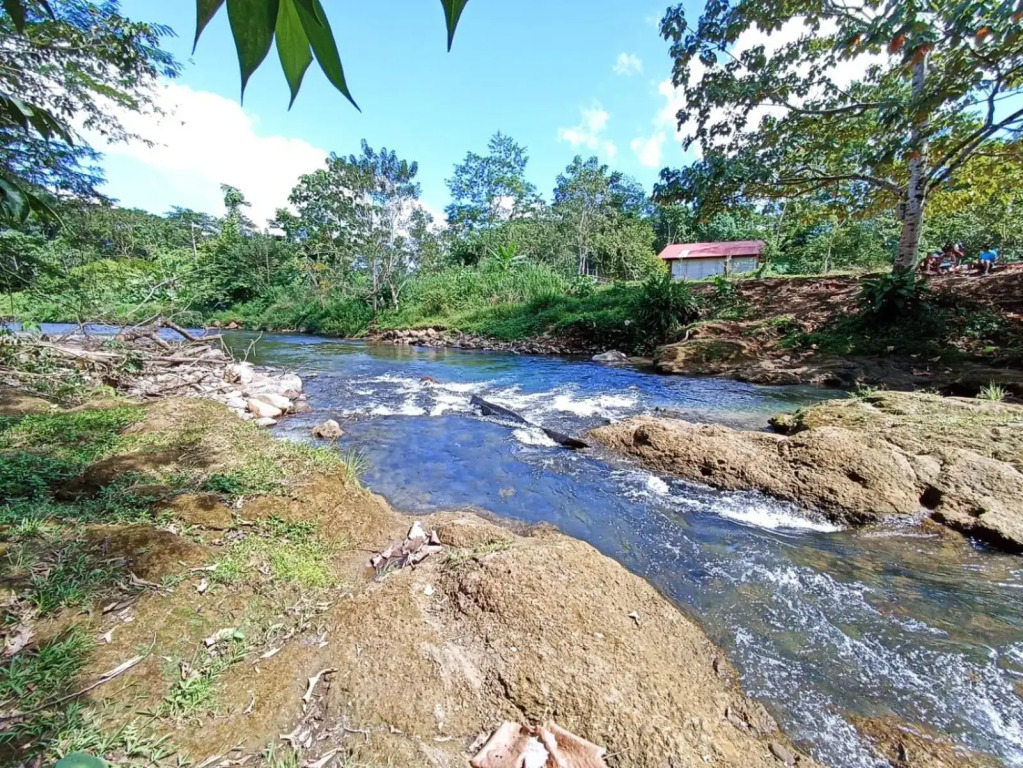 Villa Ceiba