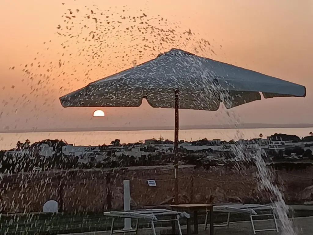 Il giardino dei tramonti