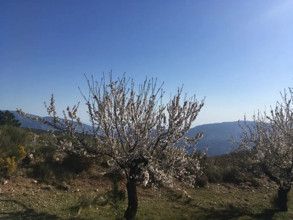 La Fuente Retreat