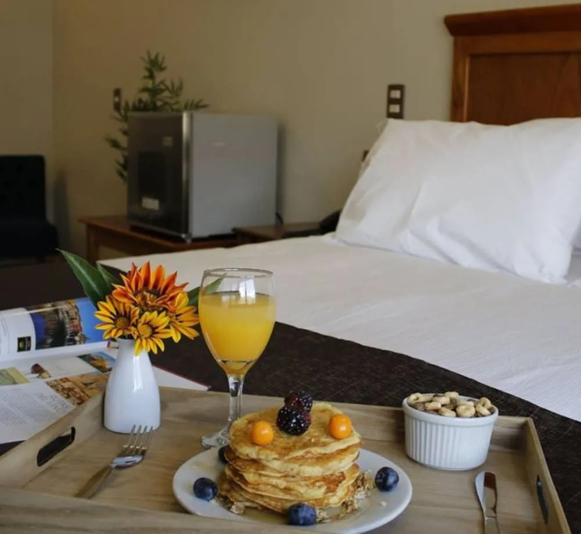 Hotel Unu