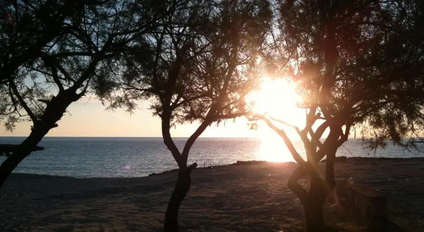 Lazir Salento
