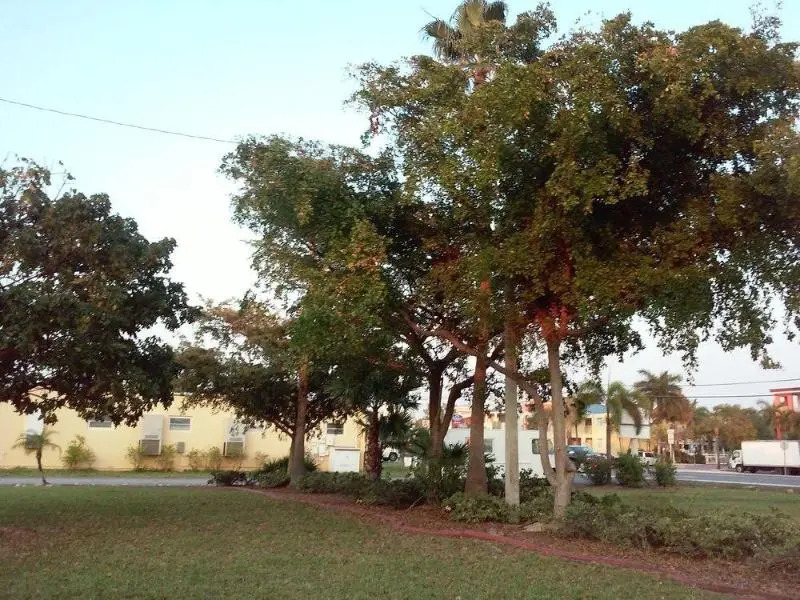 Travelodge Suites Key West