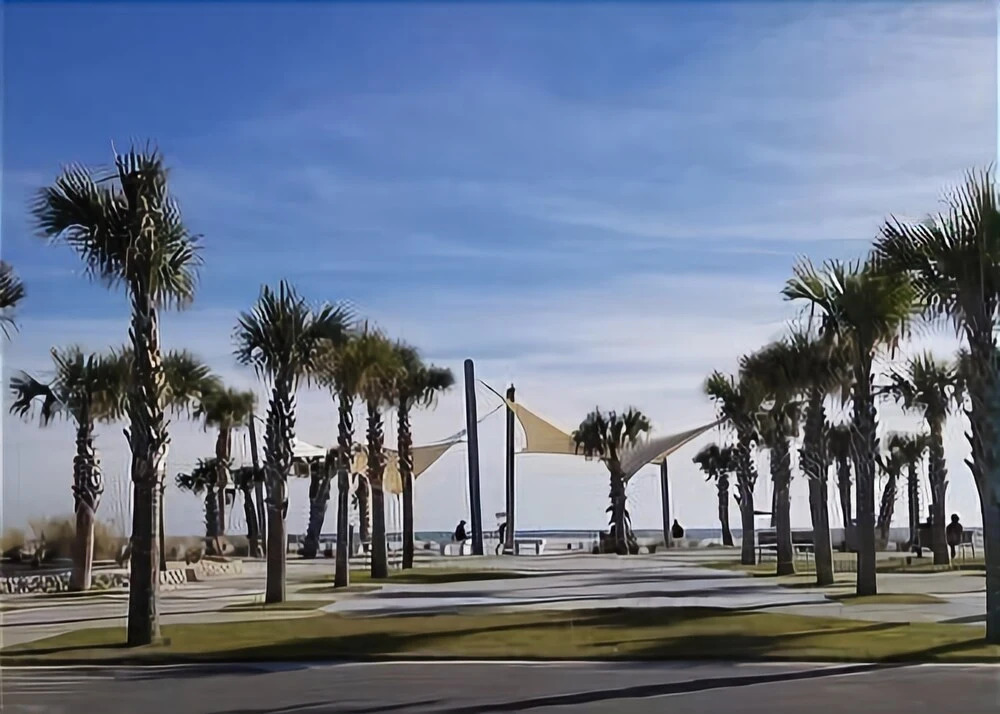 Beachview 226