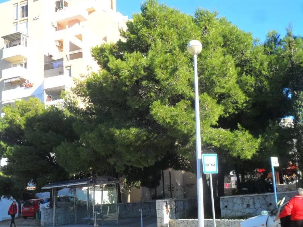 Apartments Batovanja