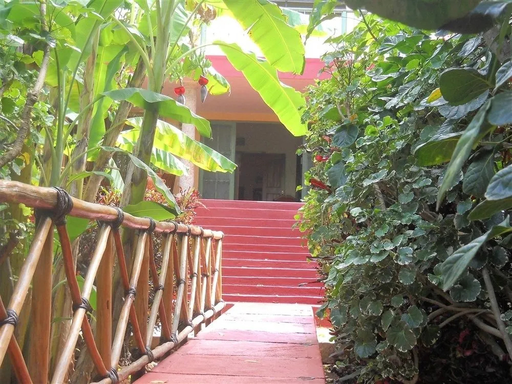 Casa Hamaca Guesthouse