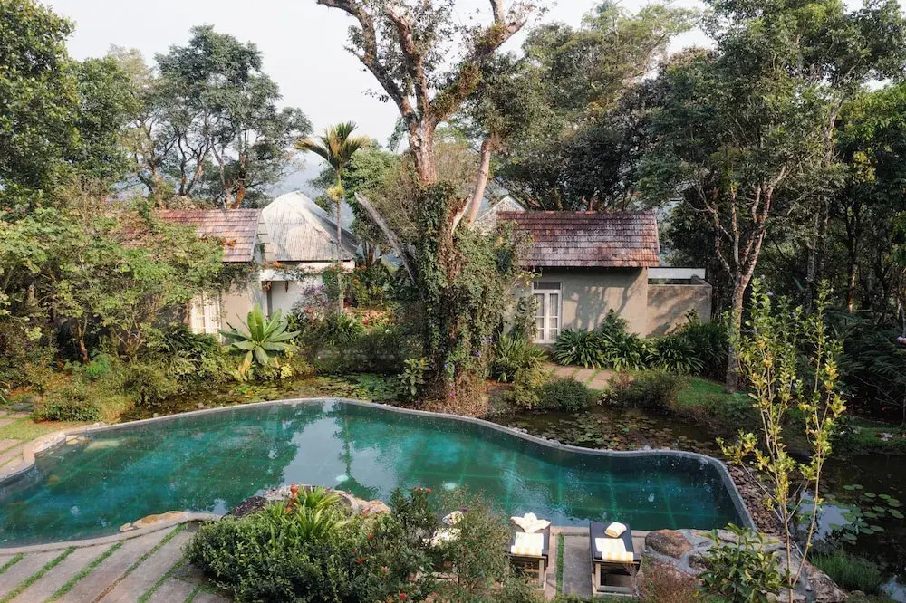 SpiceTree Rajakumari