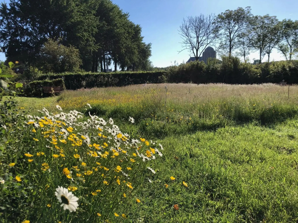 Vakantiehuis Sonnewende