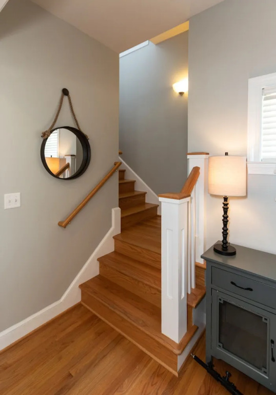 Newly Renovated Beach Cottage Walking Distance to Virginia Beach Oceanfront and Boardwalk