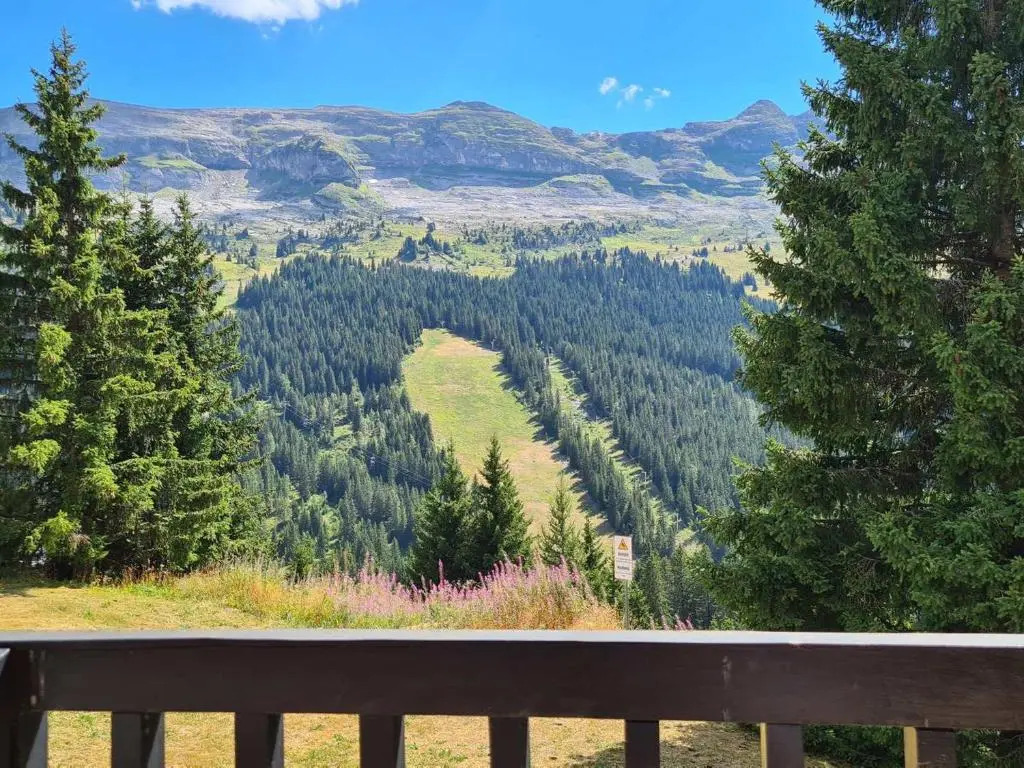 Appartement Flaine, 2 pièces, 6 personnes - FR-1-425-145