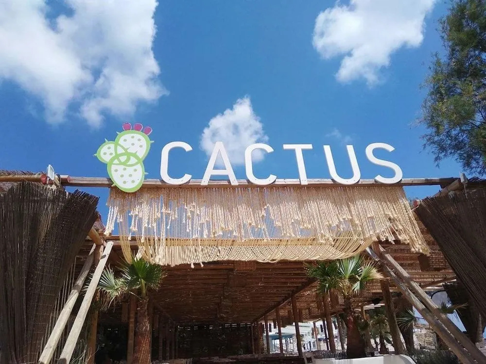 Cactus Beach Paros