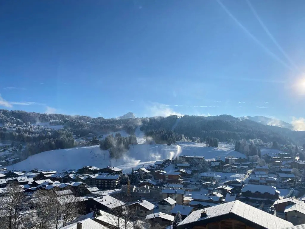 Chalet Les Gets, 5 pièces, 14 personnes - FR-1-598-41