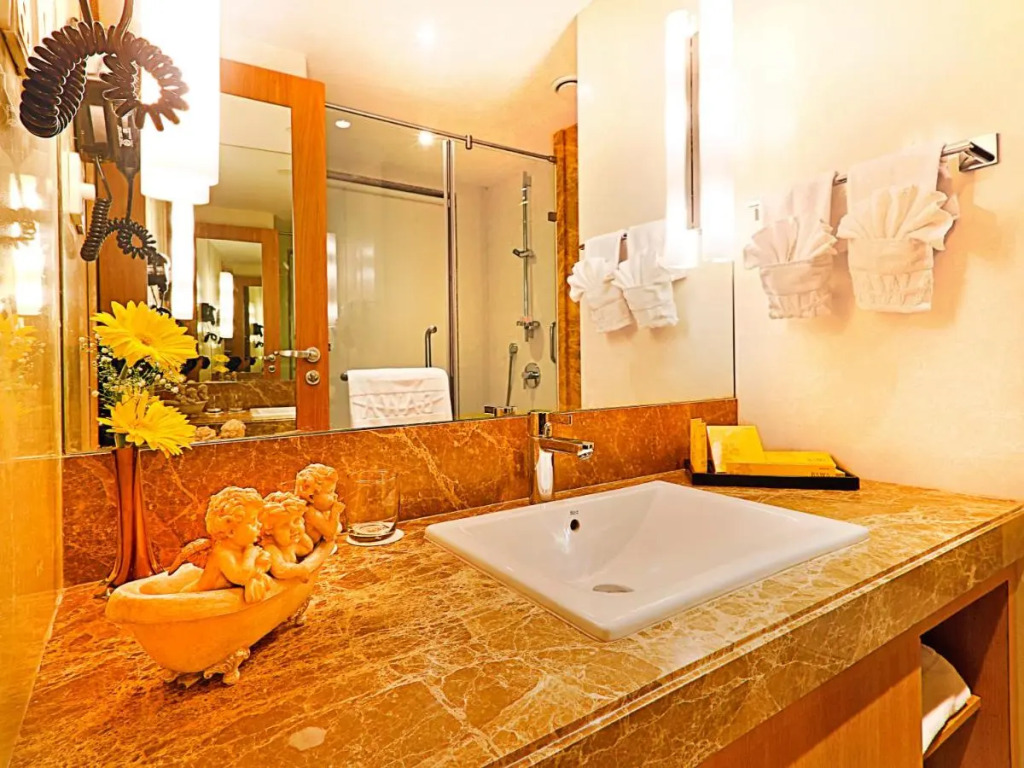 Hotel Bawa International
