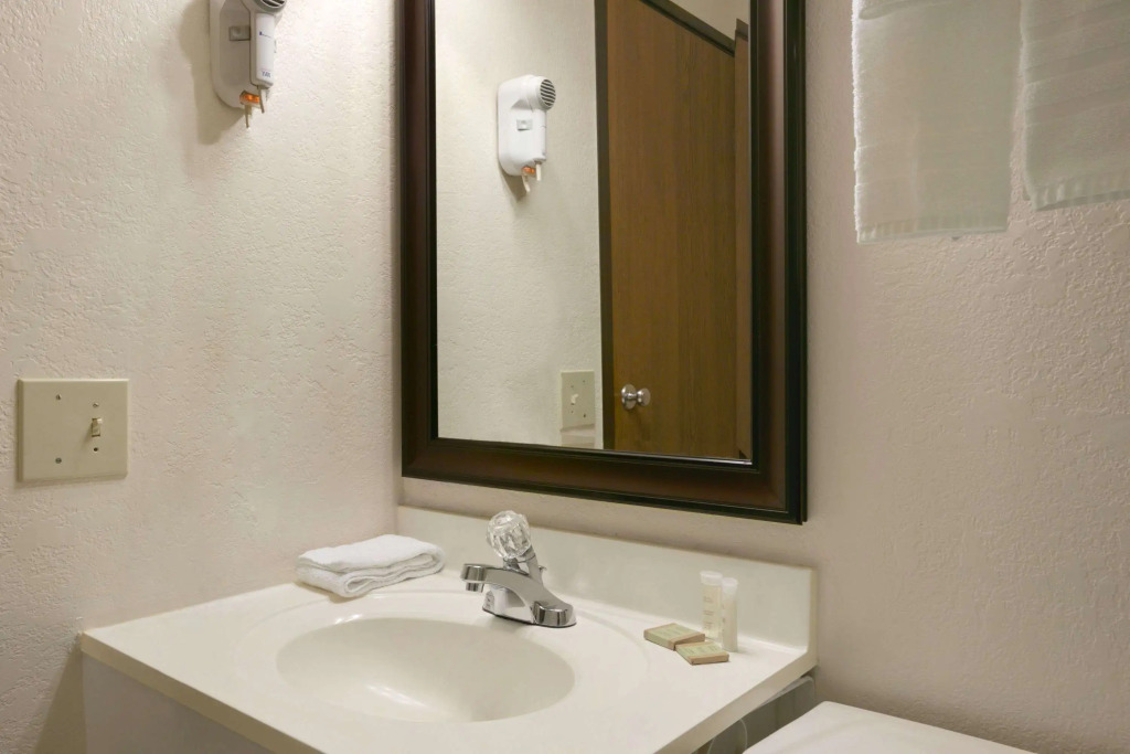 Super 8 by Wyndham Saginaw