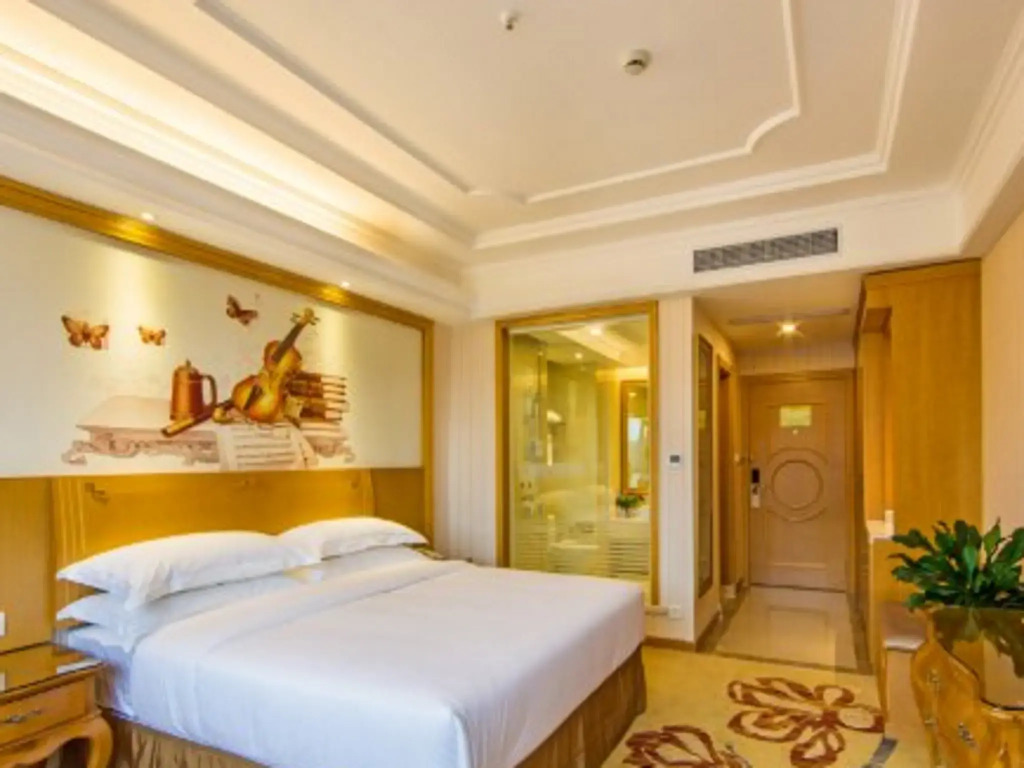 Wuyi Mountain Vienna International Hotel (Sangu Holiday Zone Impression Dahongpao Branch)