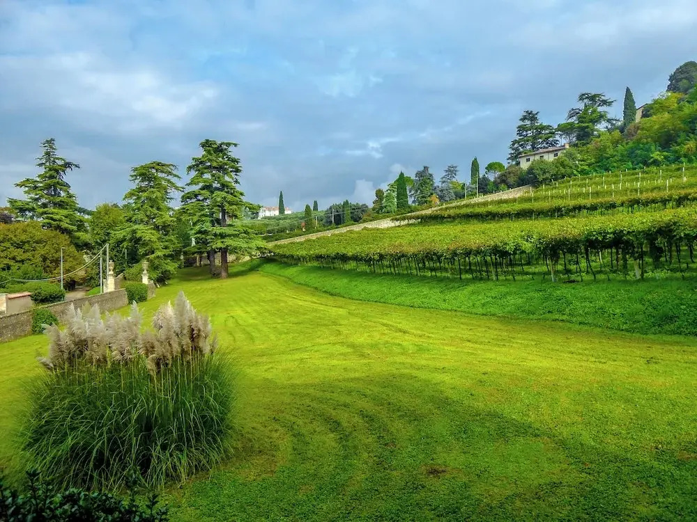 Il Vigneto, Verona, Pool, Wifi
