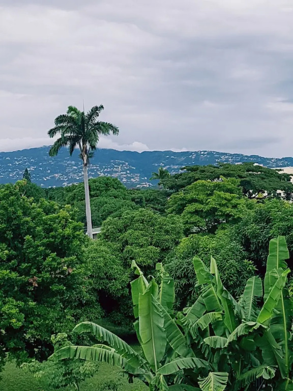 Scenic View