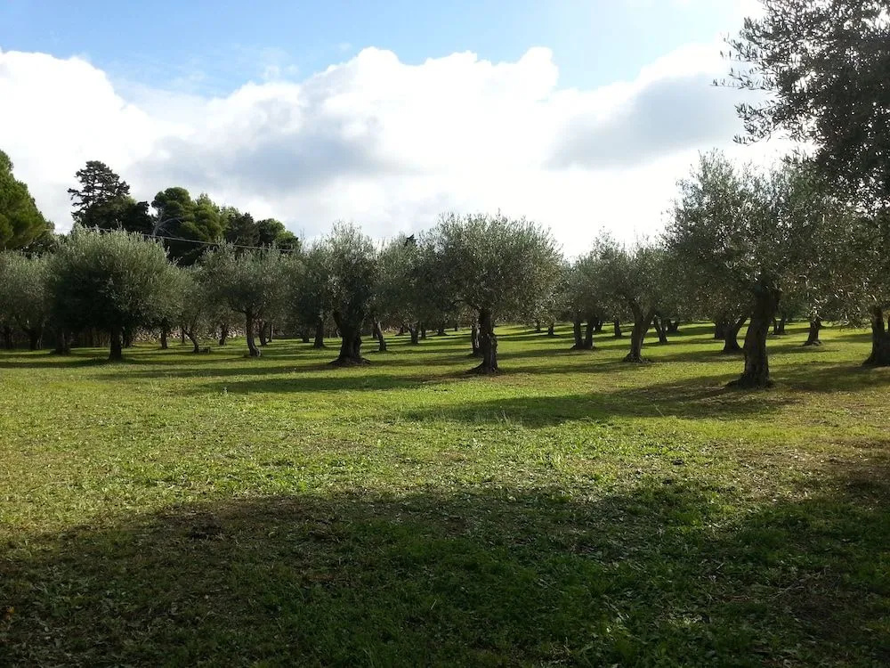 SERRA E MESU Affittacamere