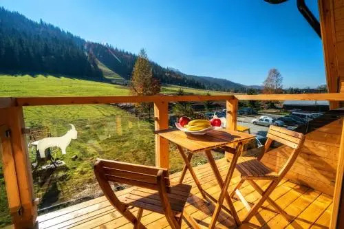 Apartament Nosal