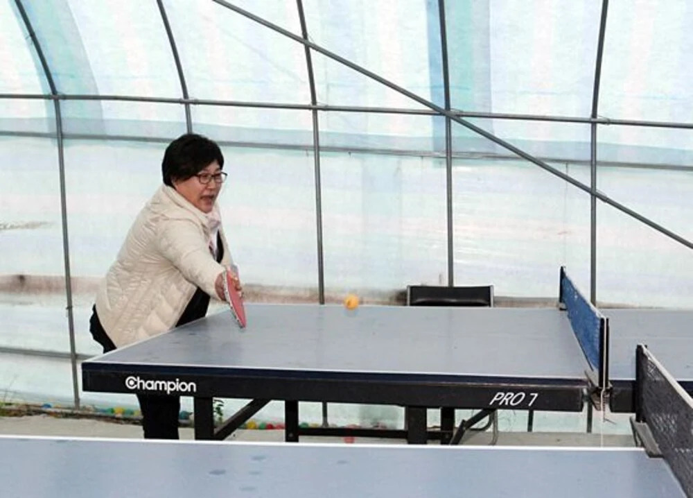 Hoengseong Taegisan Morning Birdcall Pension