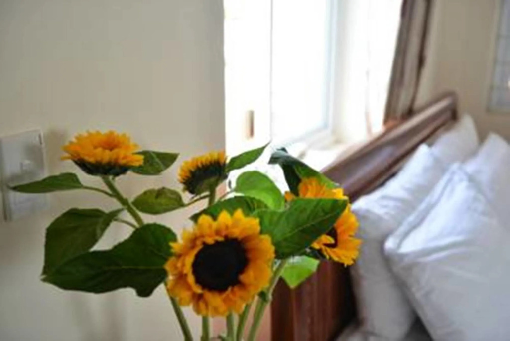 Vien Dong 2 Guesthouse