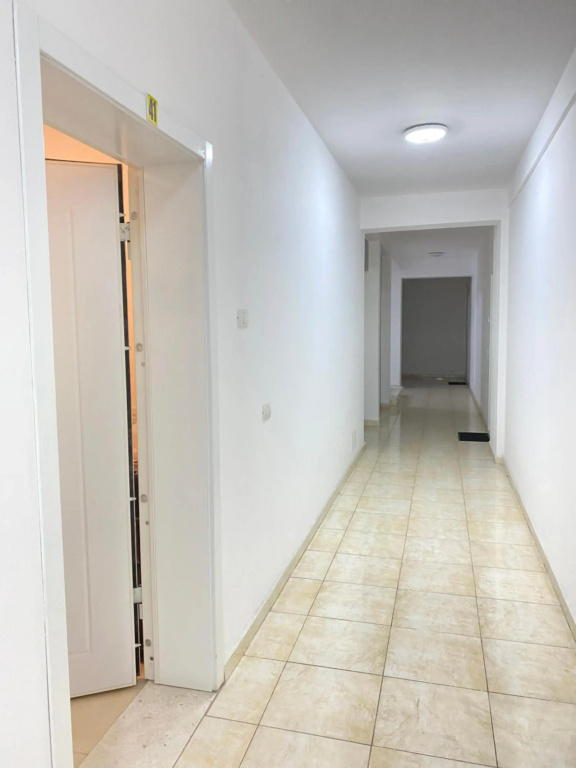 Franci's apartment