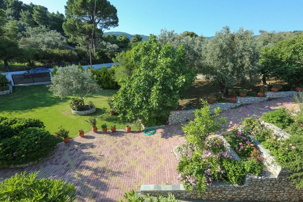 Theodora Studios & Suites