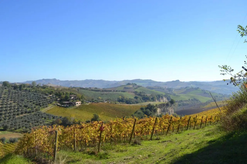 Agriturismo Fiorano