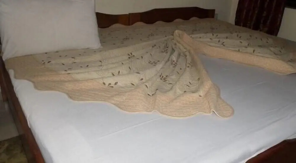 Boy Boison Elite Hotel