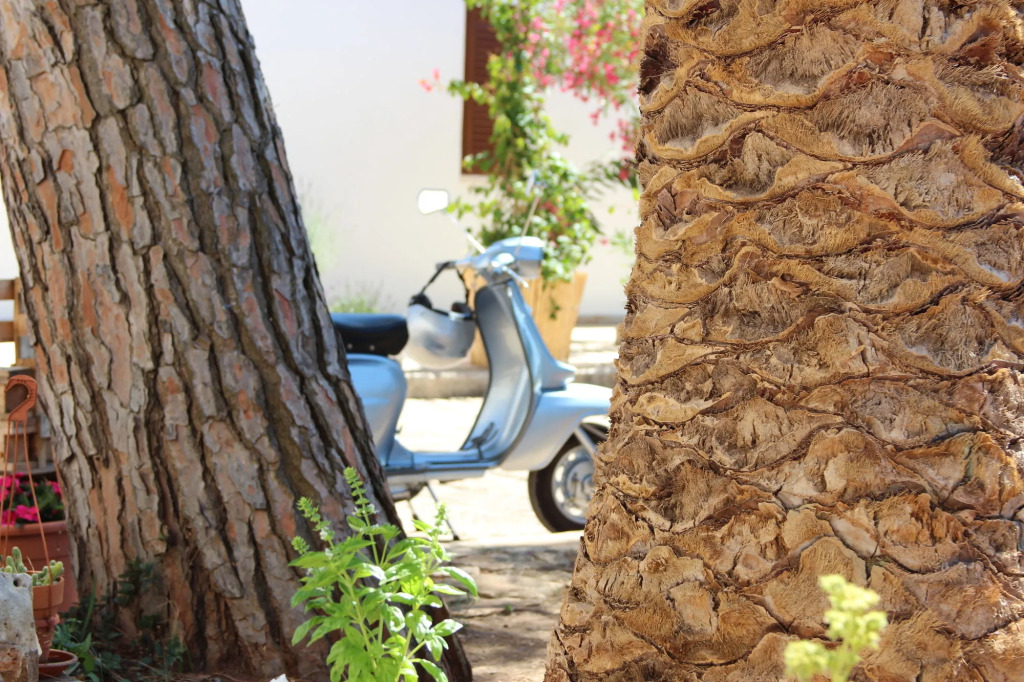 Masseria Valente