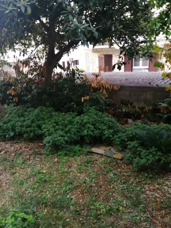 Charming Apartment Center Split Terrace & Parking