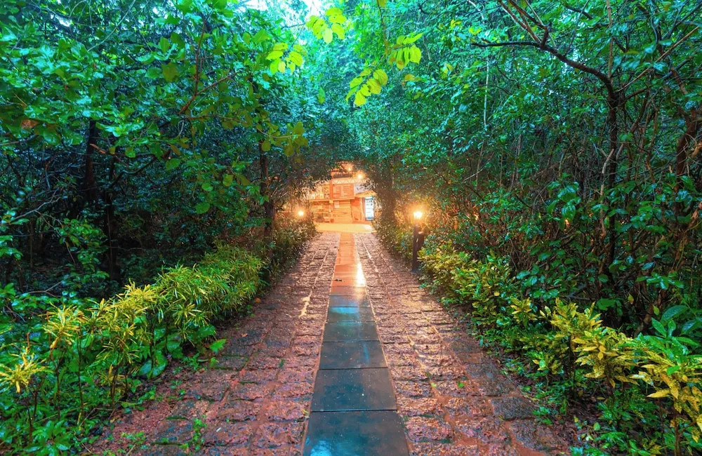 Nature Trails Rock Valley, Goa