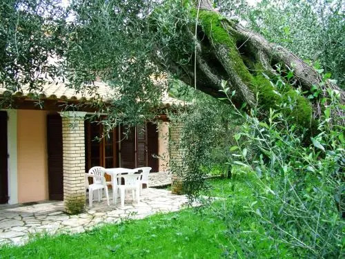 Villa Olive