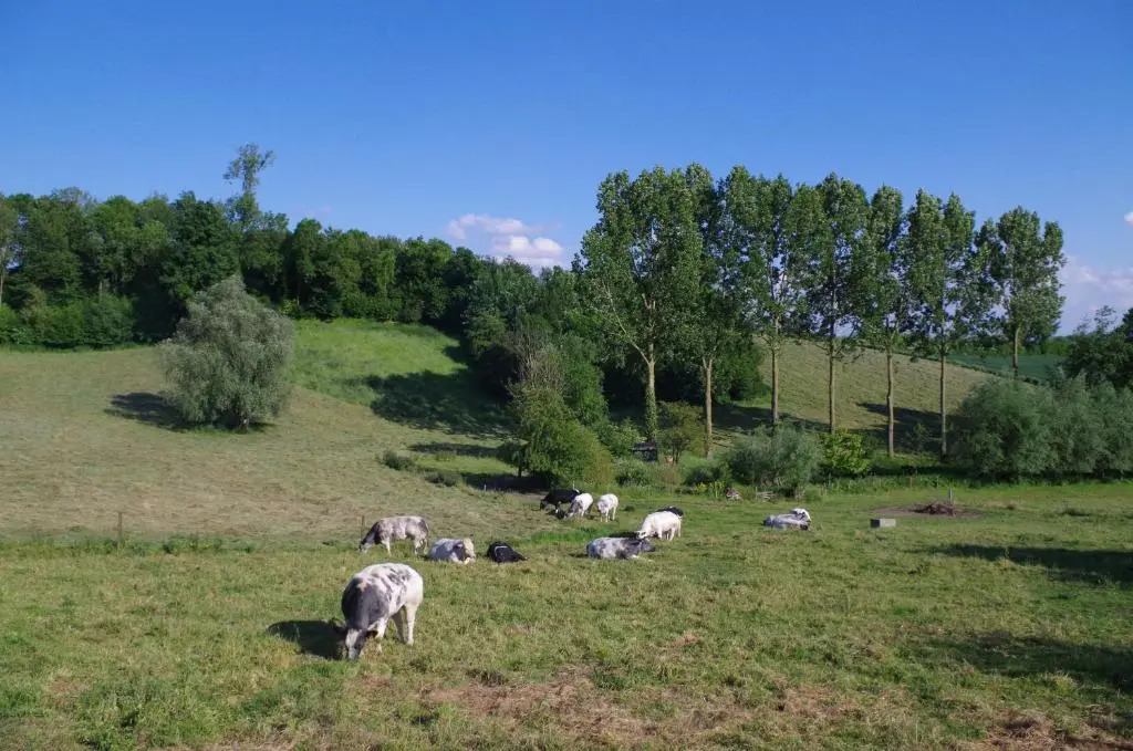Eco-gîte Au NaturAiles des Collines
