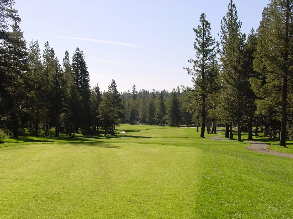 Bear Meadows