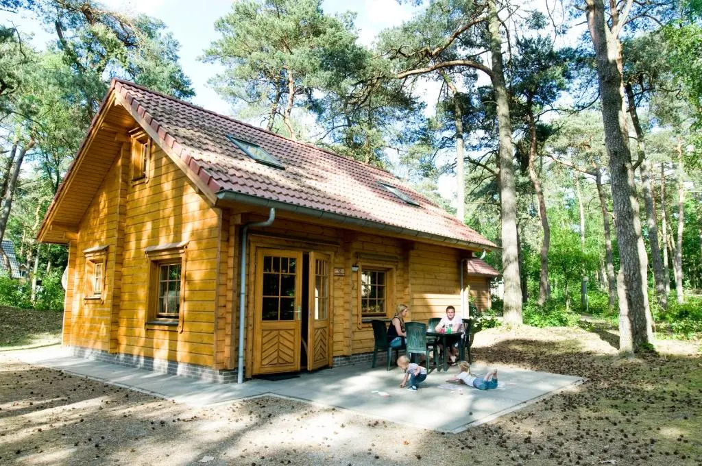 RCN het Grote Bos
